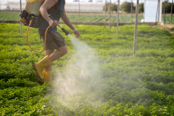 Best Affordable Pest Control Services  in Massapequa Park, NY