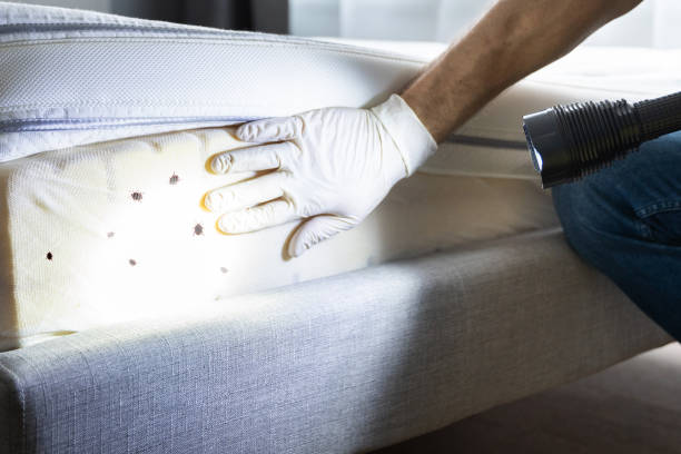 Massapequa Park, NY Pest Control Company
