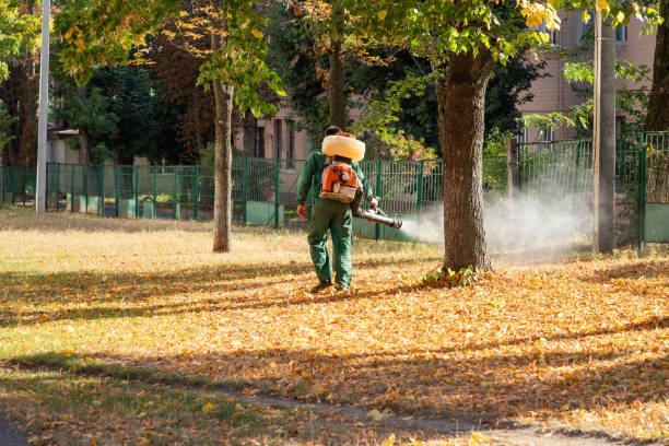 Best Termite Control Services  in Massapequa Park, NY